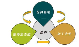 富硒食品連鎖新零售 互聯(lián)網(wǎng)分享經(jīng)濟(jì)思維驅(qū)動產(chǎn)業(yè)變革