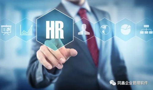 戰略型同鑫ehr系統 賦能集團型企業，根治人力資源管理的五大頑疾